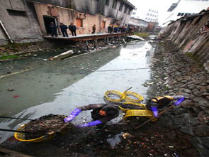 太原市公布水污染治理清單 系統施策，全面提升城市水環境質量