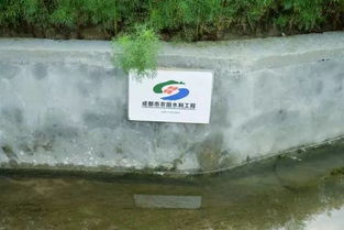 王場鎮重拳出擊 關閉養殖場，深化水污染治理，守護碧水清流