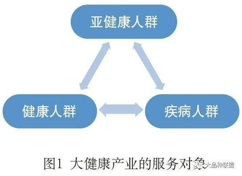 健康咨詢服務 我國大健康產(chǎn)業(yè)的關(guān)鍵環(huán)節(jié)與發(fā)展路徑